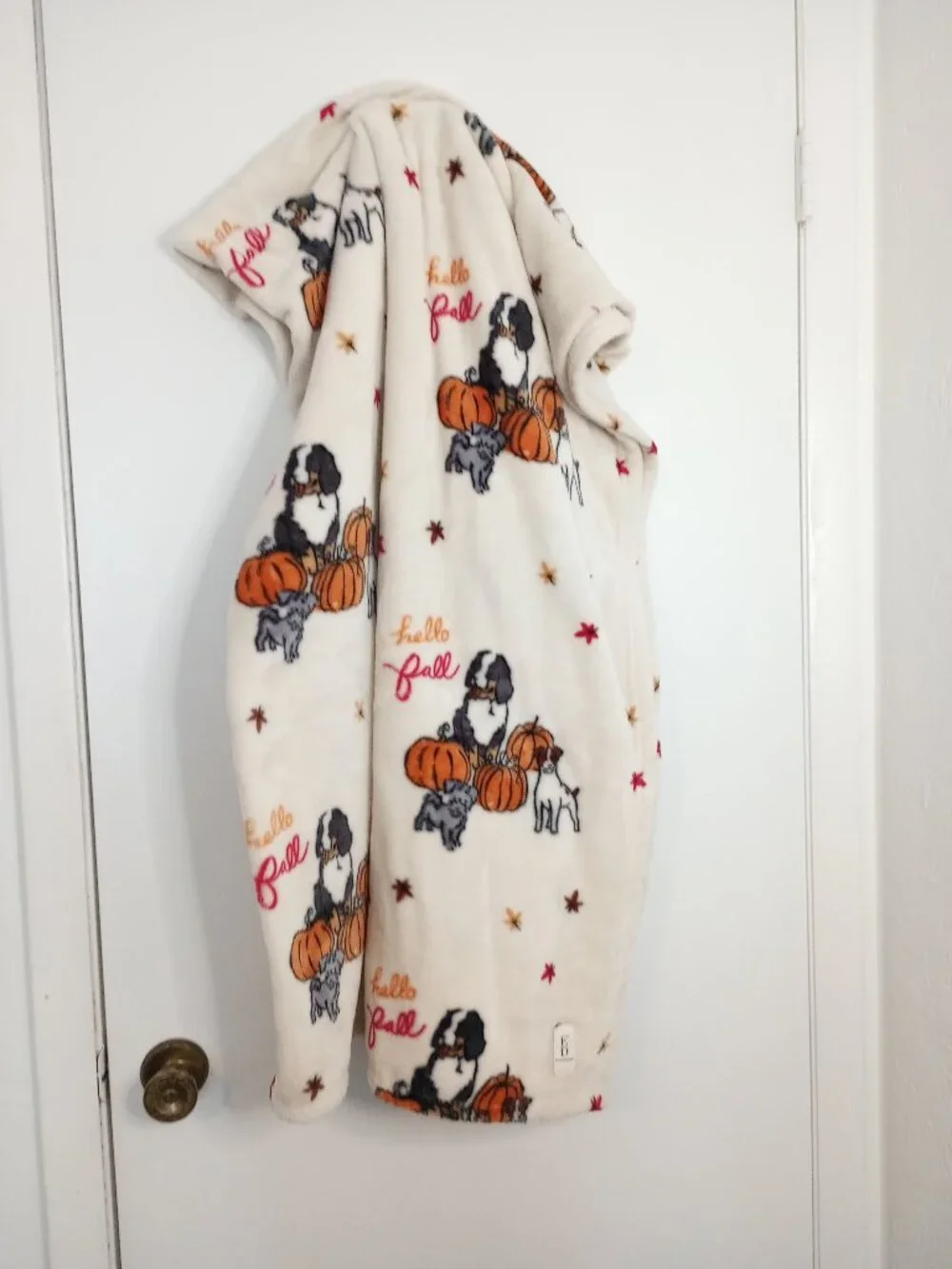 Ellen Degeneres Hello Fall Ultra Plush Soft Dog Motif Throw